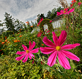 Botanischer Garten